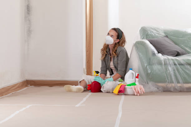 Reliable Mold Remediation contractor in Shawneeland, VA by 24 Hour Mold Removal
