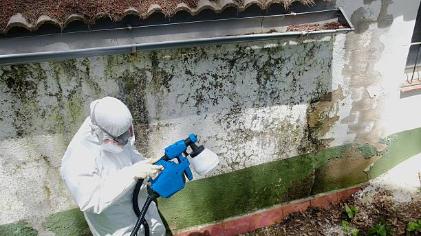Top rated local Mold Remediation specialists in Shawneeland, VA